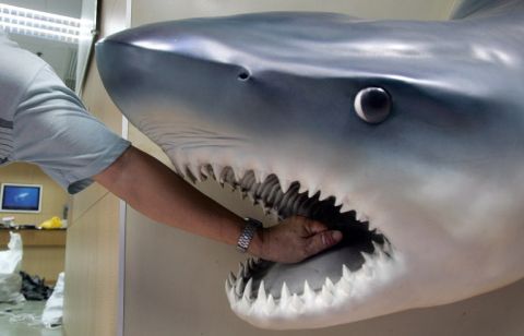 أسرة مصرية: هكذا نجونا من سمكة القرش التي قتلت السائح الروسي