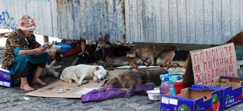 Animals saved from Ukraine dam floods find new homes