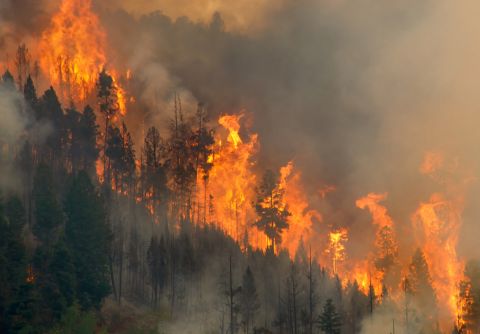 A new fiery fury hits Turkey for this year!