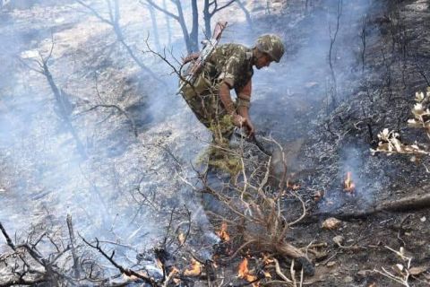 34 قتيلا في حرائق الجزائر وتبون يعزي