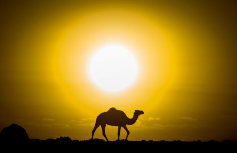 بشرى سارة للاردنيين: موجة الحر ستبدأ الانحسار الاسبوع المقبل