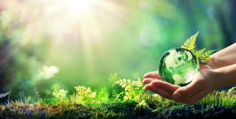 Simple ways to reduce your carbon footprint
