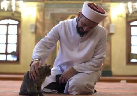 لقطة مضحكة.. طرد قطة من قطار ركبت بمفردها بدون تذكرة!