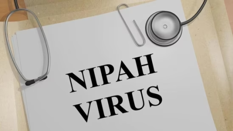 Nipah virus precautions: What everyone needs to know