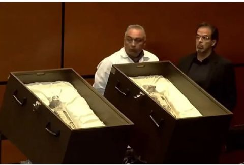 فيديو صادم.. تحرش جنسي بمراسلة تلفزيونية على الهواء مباشرة