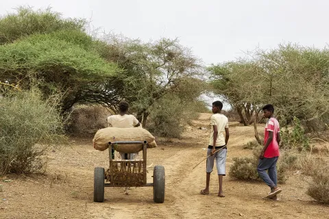Sudanese forces trade fire across Nile amid atrocities in Darfur