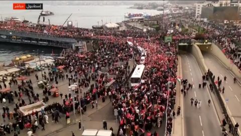 ويجز يرتدي الكوفية أثناء مشاركته في مظاهرات مؤيدة لفلسطين