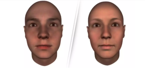 Rich or poor? Study reveals how your face shape can determine that