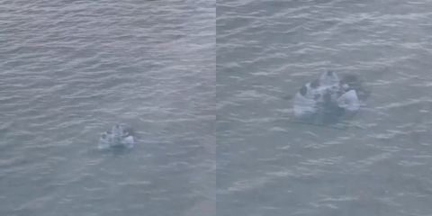 Video of people eating underwater sparks controversy in Oman