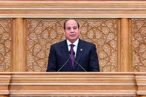 Egypt's Al-Sisi affirms support for Palestine as he receives heads of Arab parliaments