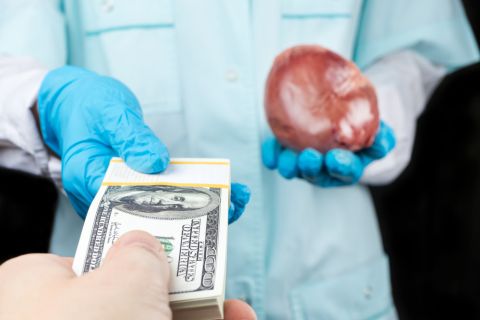 Young man kills child, sells organs in Egypt, influenced by dark web