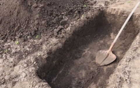 Video: Man emerges alive after 4 days buried alive