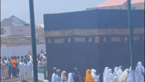 فيديو 