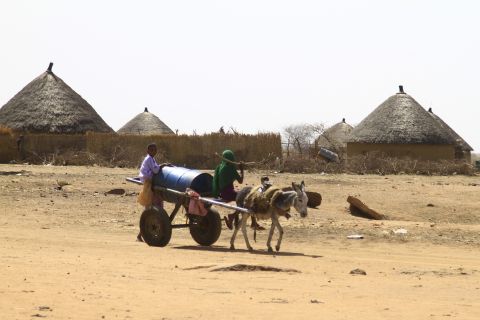 23 people killed in an RSF attack in North Kordofan, Sudan