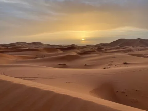 14, including 12 Syrian migrants, found dead in Algerian desert