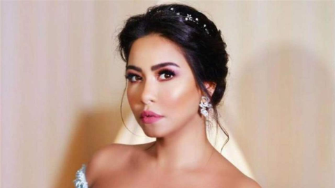 إلغاء حفل شيرين عبدالوهاب في بيروت.. وهذا مصير التذاكر