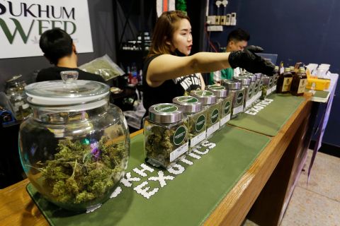 Thai Cannabis activists go on hunger strike as government set to recriminalize the recreational industry
