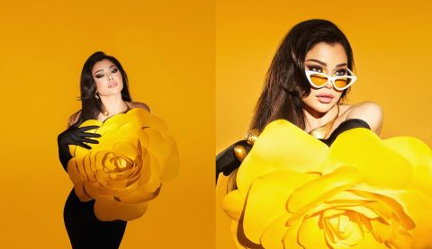 Haifa Wehbe returns to singing in Egypt after the suspension was lifted