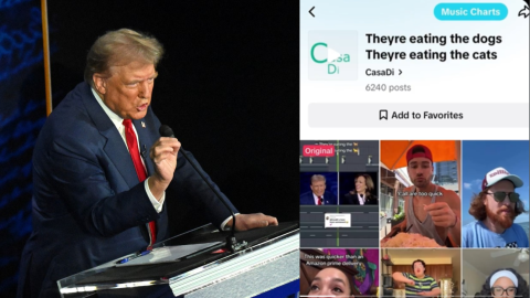 Trump's