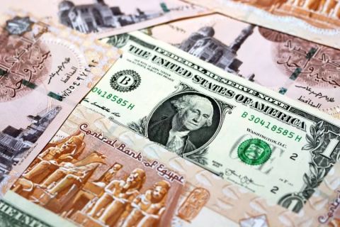 سعر الدولار اليوم في مصر الثلاثاء 29 أكتوبر 2024.. الأخضر يتراجع
