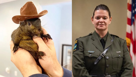 NYSDEC head deletes account amid Peanut the squirrel's death