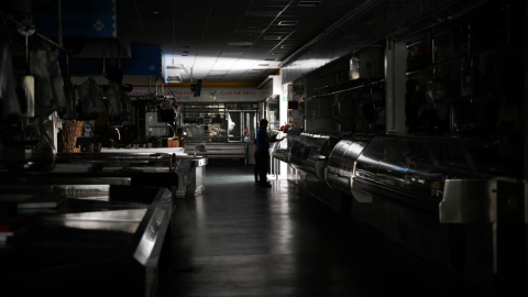 What caused Europe's massive power outage?