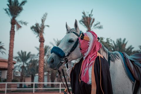 الأردن: 34 ألف أردني يطلبون لقب 