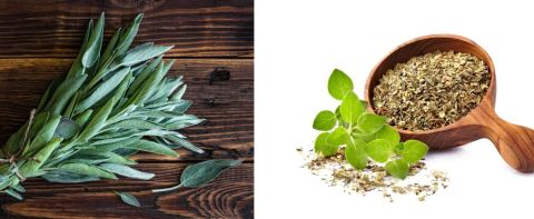 فوائد الميرمية والبردقوش للهرمونات