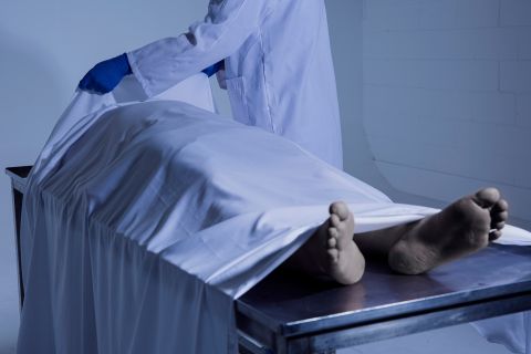 فيديو صادم لكمية الجثث أعلى قمة إيفرست