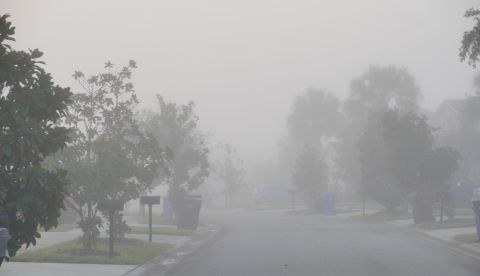 ماذا يقال عند رؤية الضباب؟