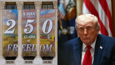 Multiple celebrities cancel America 250 appearances as backlash intensifies