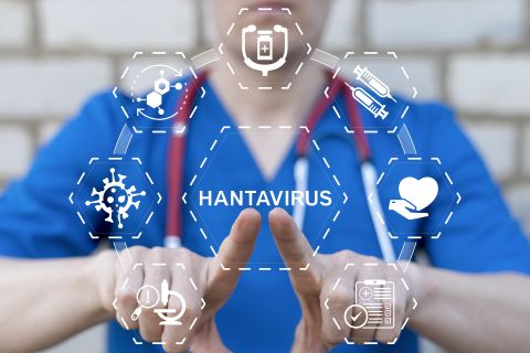 علامات خطيرة إذا ظهرت عليك..قد تشير إلى الإصابة بـ فيروس هانتا