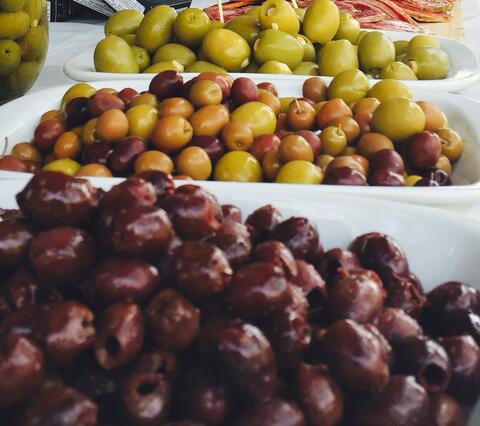 National Olive Festival Kicks off in Jordan