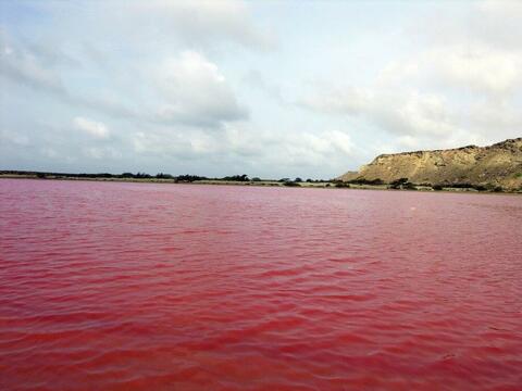 Its Nowruz: Iranians Put Virus Fears Aside!