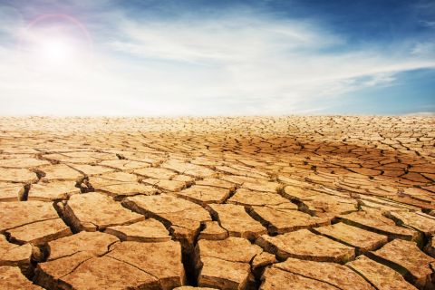 World’s hottest day EVER recorded in Kuwait