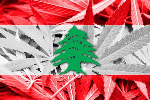 Video: On the Cannabis Industry in Lebanon. Will Beirut Become the Amsterdam of the Middle East?