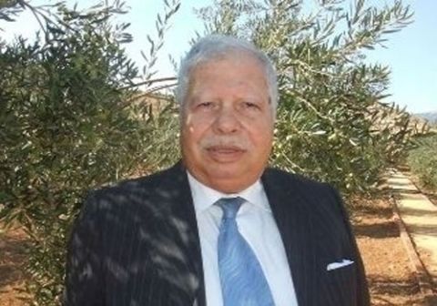 المشروع الاسرائيلي لانشاء دولة فلسطينية في صحراء سيناء..؟