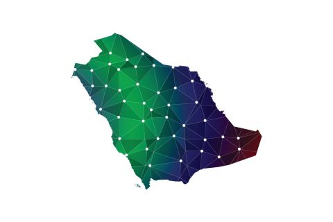 US forces Saudi firm out of new startup backed by OpenAI CEO