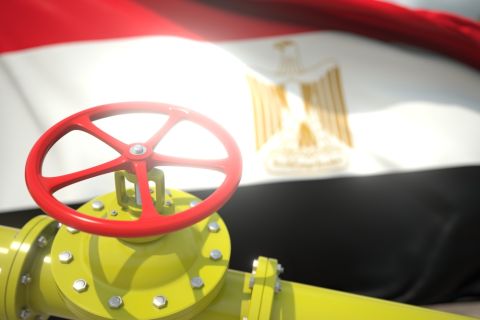 Israeli gas imports to Egypt suspended – Gov’t 