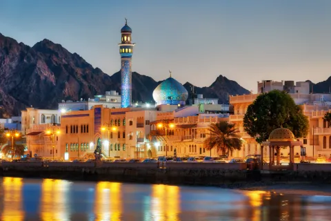 Egypt to Locally Produce 6 Million Doses of Chinese Sinovac Vaccine
