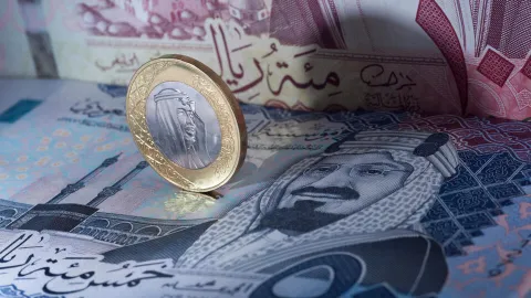 Saudi Arabia Pledges to Hit Net Zero Carbon by 2060