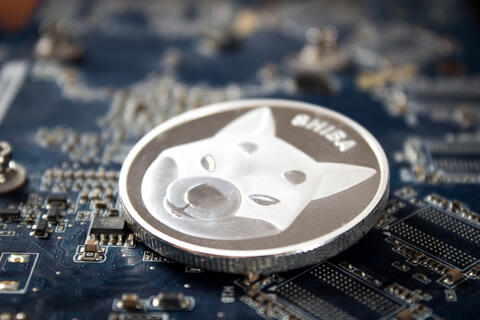 Shiba Inu Plummets From Record High As Musk Reveals He Owns None