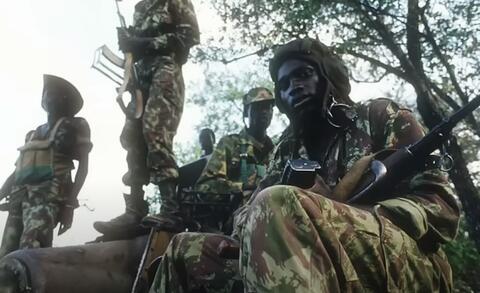 الجيش السوداني: عناصر 