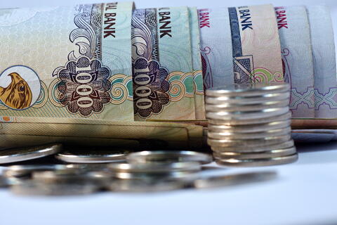 الإمارات: تشريعات جديدة للاستثمار والتملّك الأجنبي قريباً