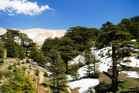Must-See Middle East Nature Reserves