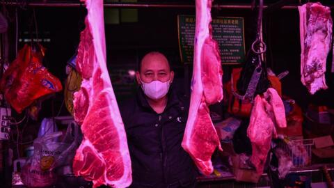 China: Trade, Consumption of Wild Animals No More Allowed