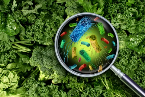 Startup of the Week: Uvera - Revolutionizing Food Safety, Putting an End to Food Waste