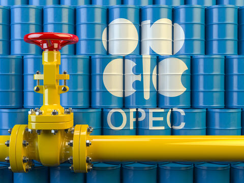 OPEC Changes 2021 Oil Demand Growth Forecast