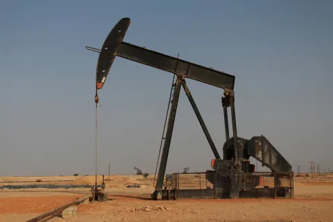 Omani Government Seeks New Investments Following Rare Protests