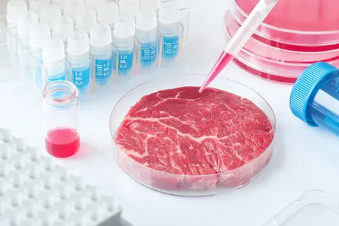 How Is The Food Industry Slowly Evolving?